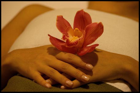 Spa Hands Spa Hands